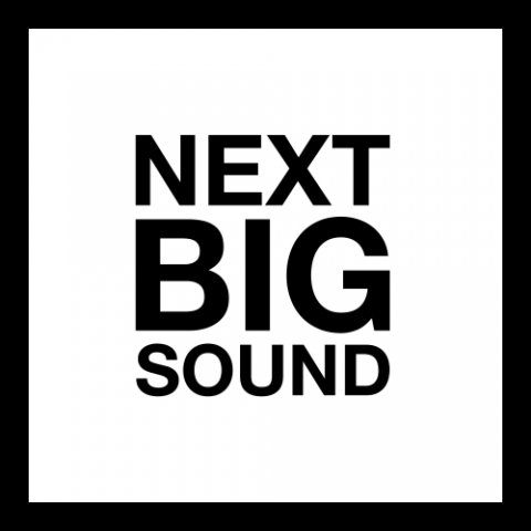 The Next Big Sound